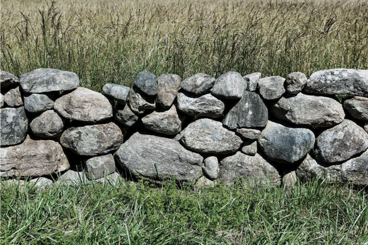 Uncovering the hidden history of New England’s many stone walls