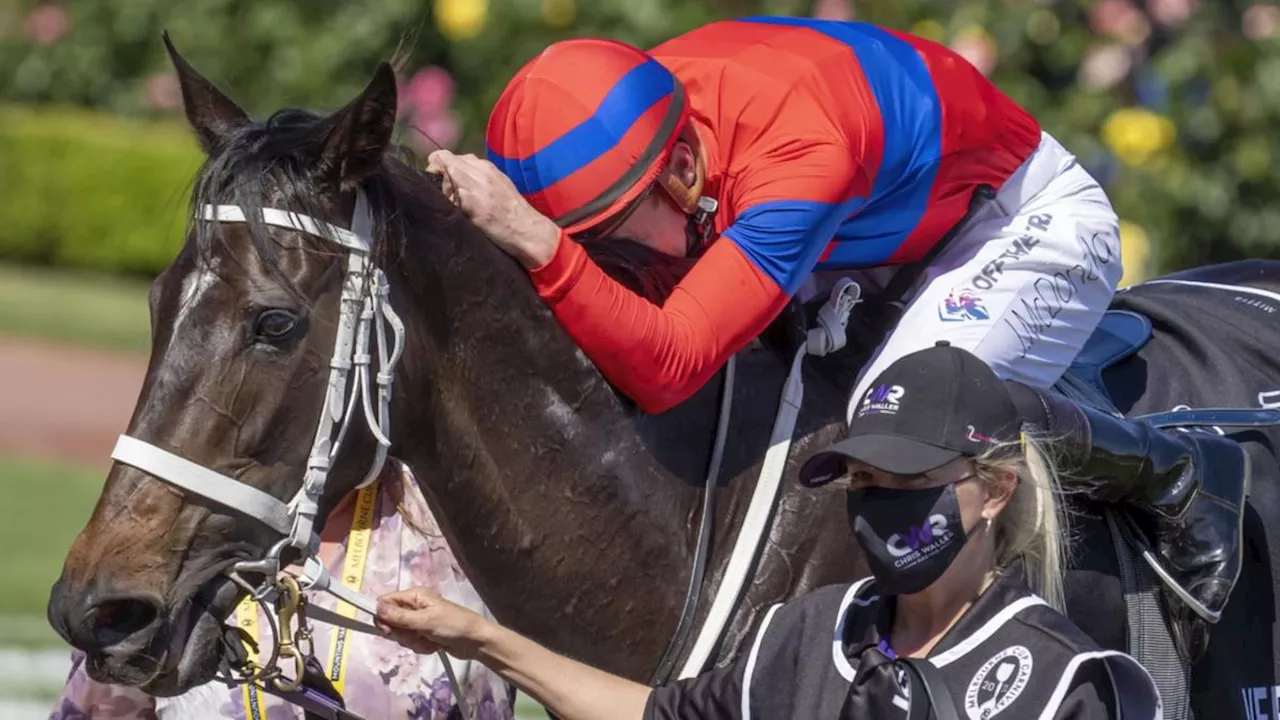 Racing world in shock after Melbourne Cup winner Verry Elleegant dies while giving birth