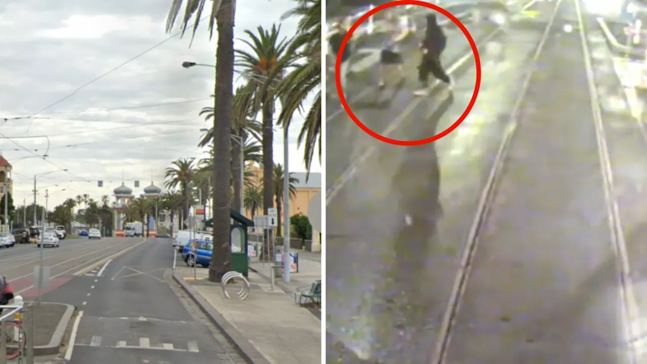 Authorities seek help finding three men who allegedly attacked penguin at tram stop in St Kilda, Melbourne