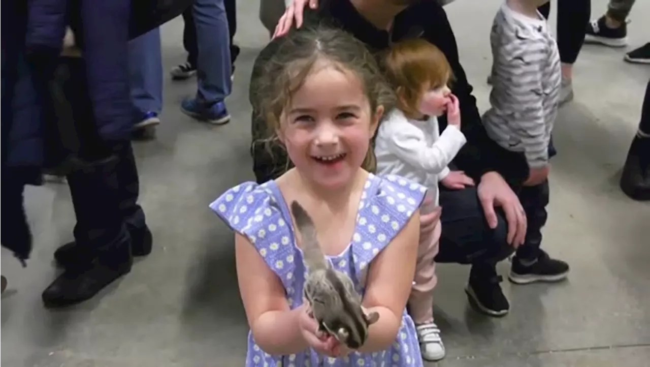 Exotic rescue animals stars of Wildlife Festival at Stampede Park