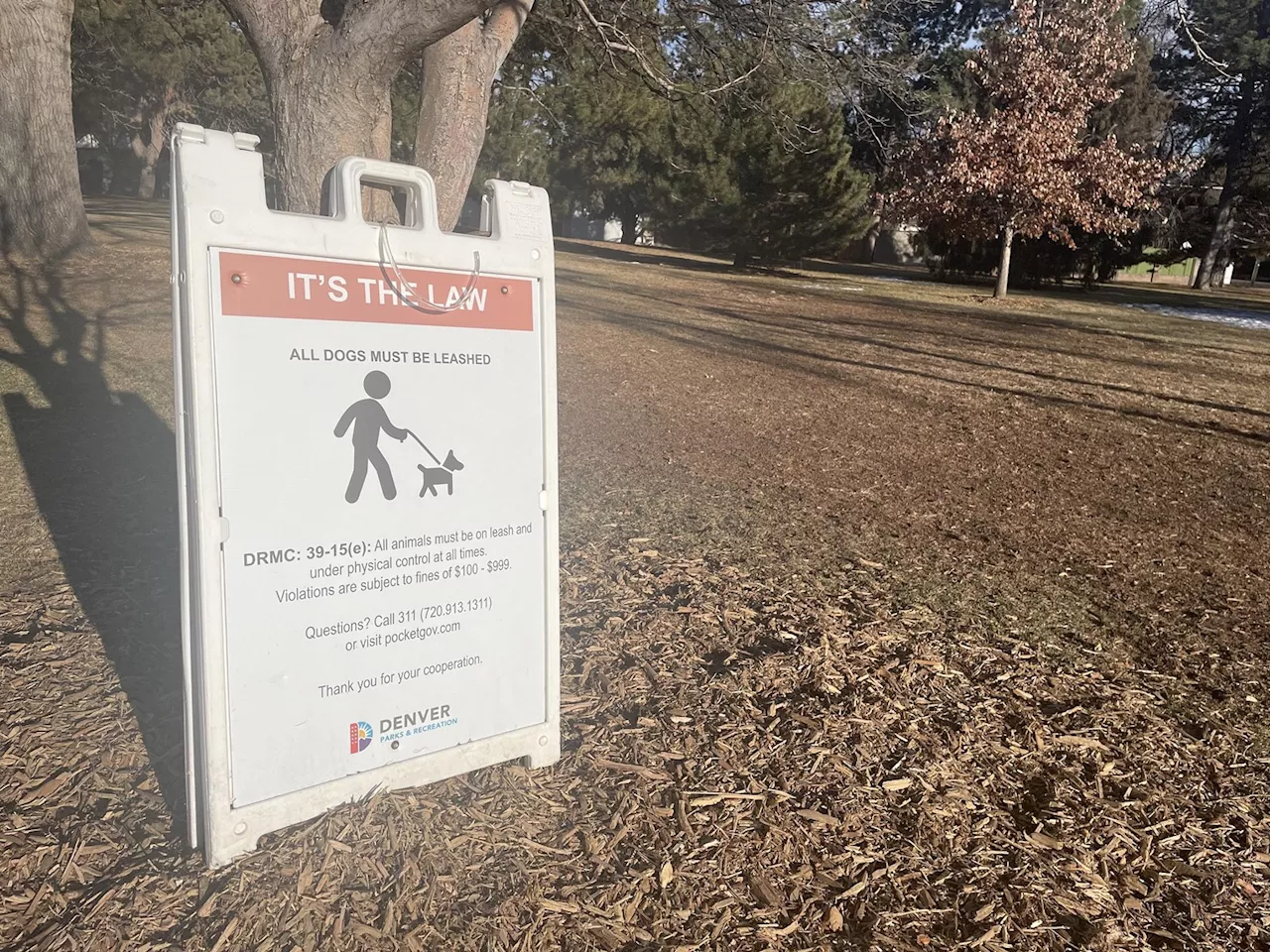 Dog Owners Pushing for Off-Leash Hours in Denver Parks, but City Bites Back