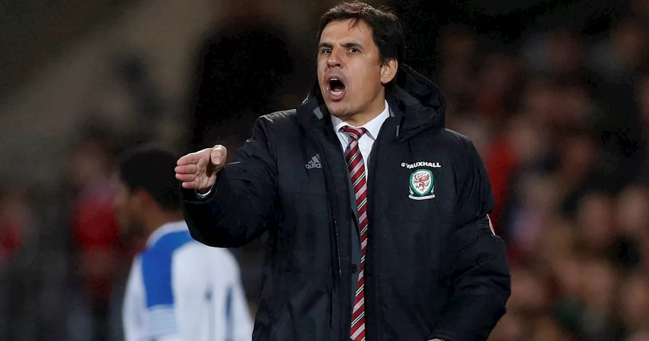 Chris Coleman emerges as favourite for Republic of Ireland manager job