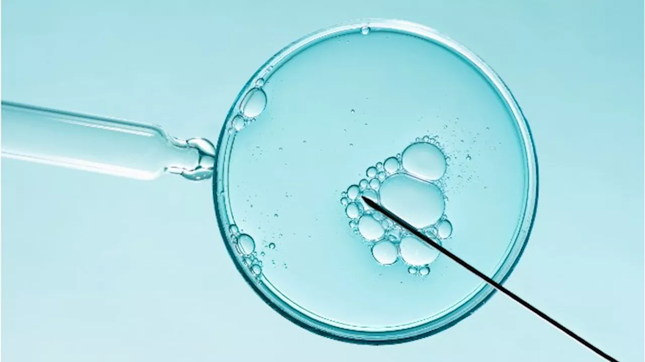 Alabama Supreme Court Rules Frozen Embryos Are ‘Children’ In Chilling Legal First