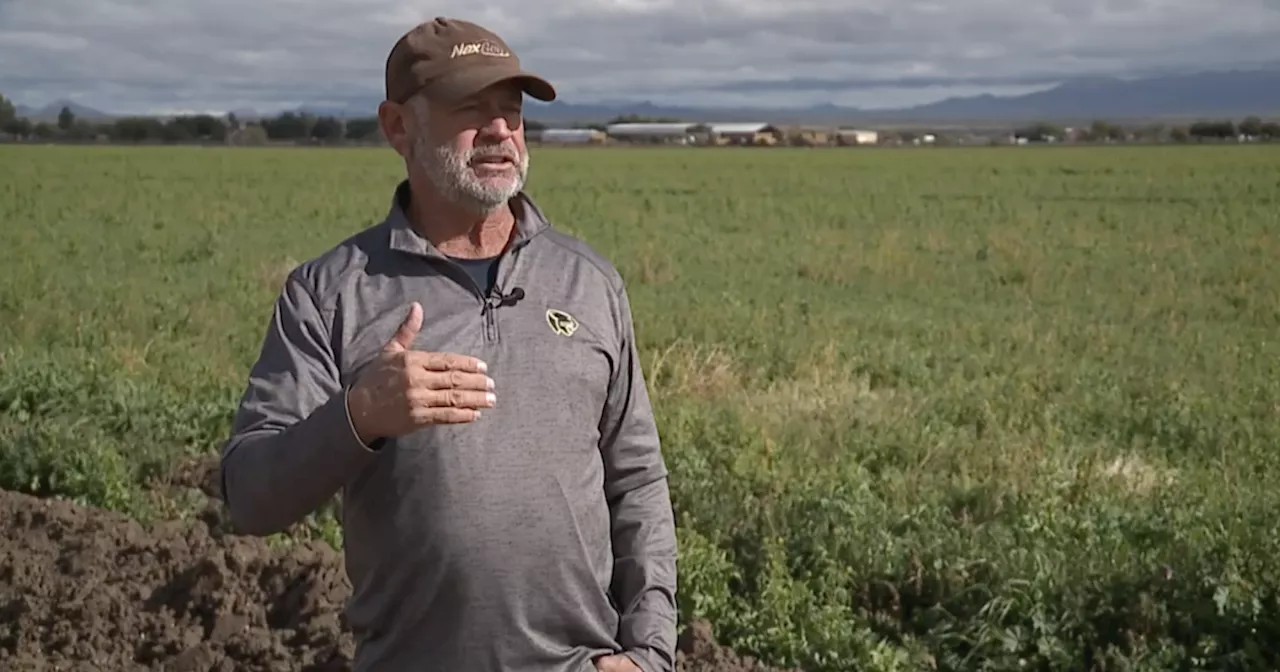 AZ's uneven groundwater for farmers: 'About 40 miles and a world of difference'