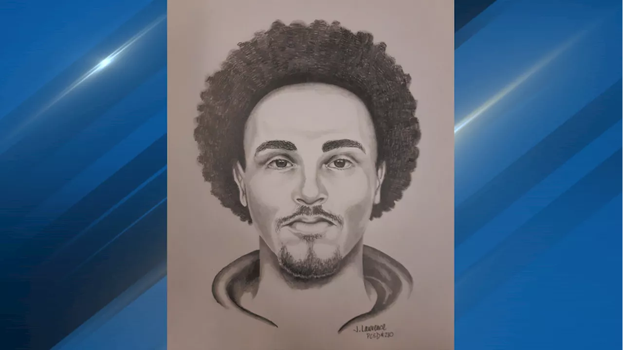 Tacoma police release sketch of Point Defiance Park stabbing suspect