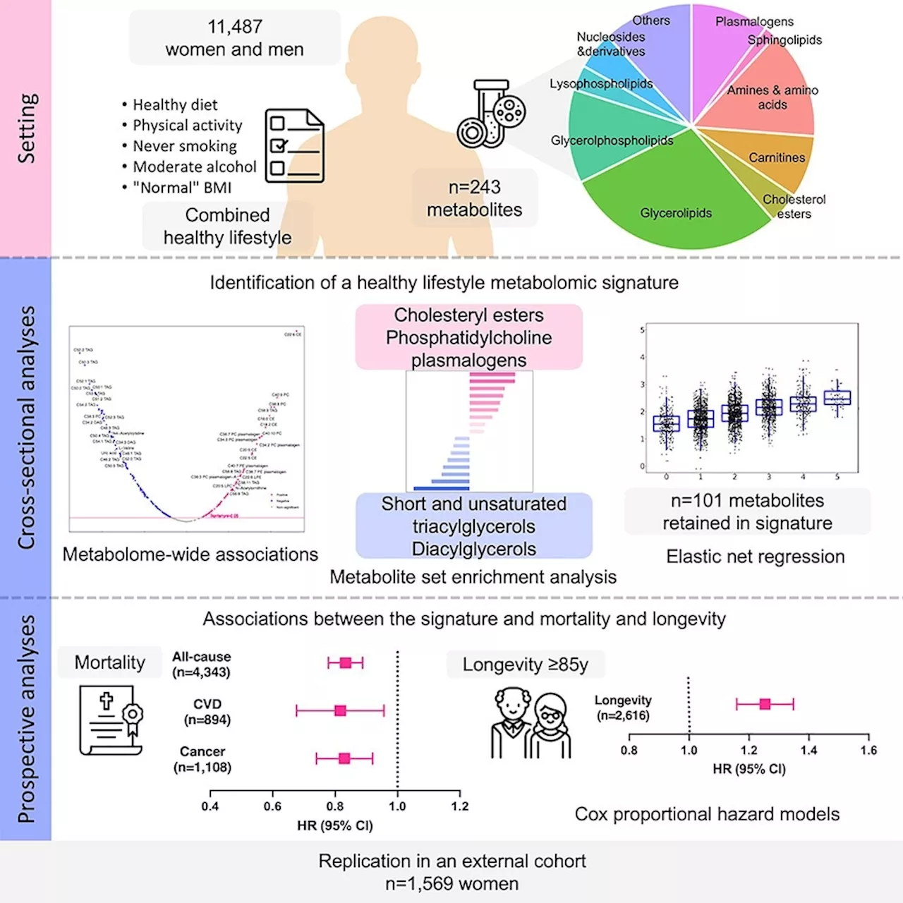 Healthy lifestyles linked to specific metabolic markers, large study finds