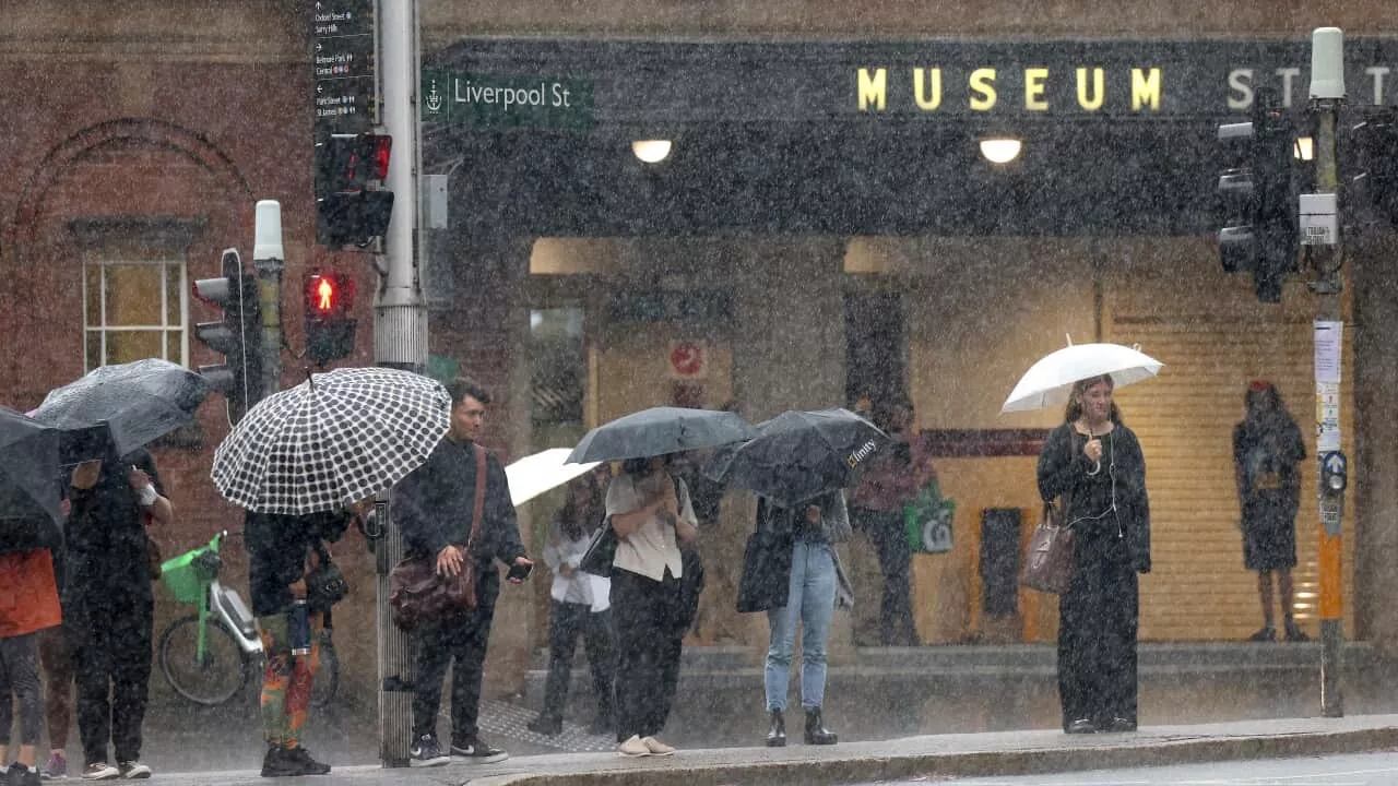 Four people struck by lightning in Sydney's Royal Botanic Gardens