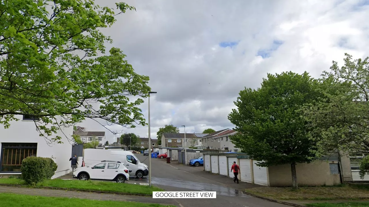 'Large bulldog-type' dog shot dead by police after attacking Collie in East Kilbride