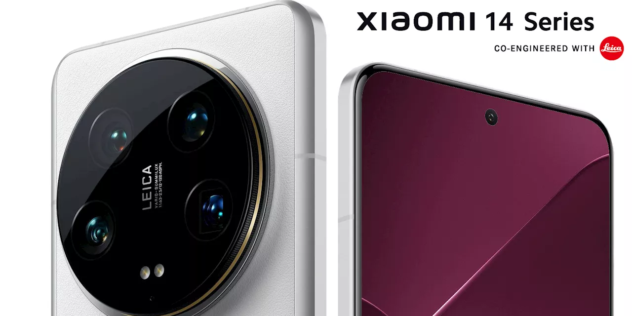 First Look at Xiaomi's 2024 Flagship Revealed