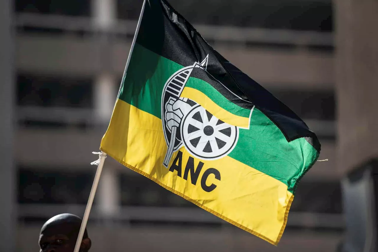 ‘ANC forced to bend knee before DA,’ says Schreiber as party hands over cadre deployment records