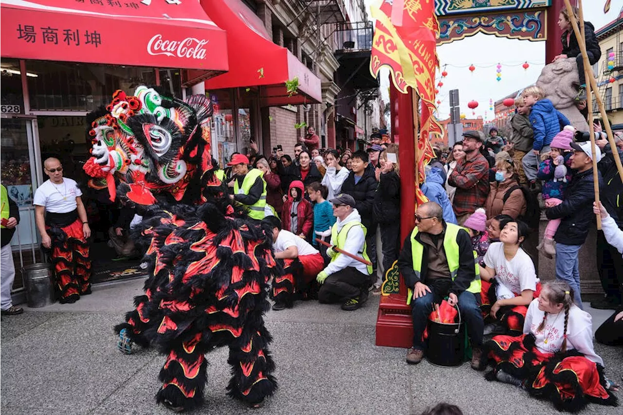 Lunar New Year lion dance parade draws big crowds to Victoria's Chinatown