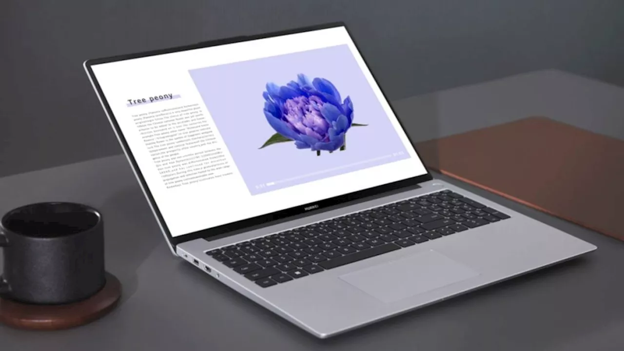 HUAWEI MateBook D 16 with Intel® Core™ i9-13900H Processor Arrives in South Africa