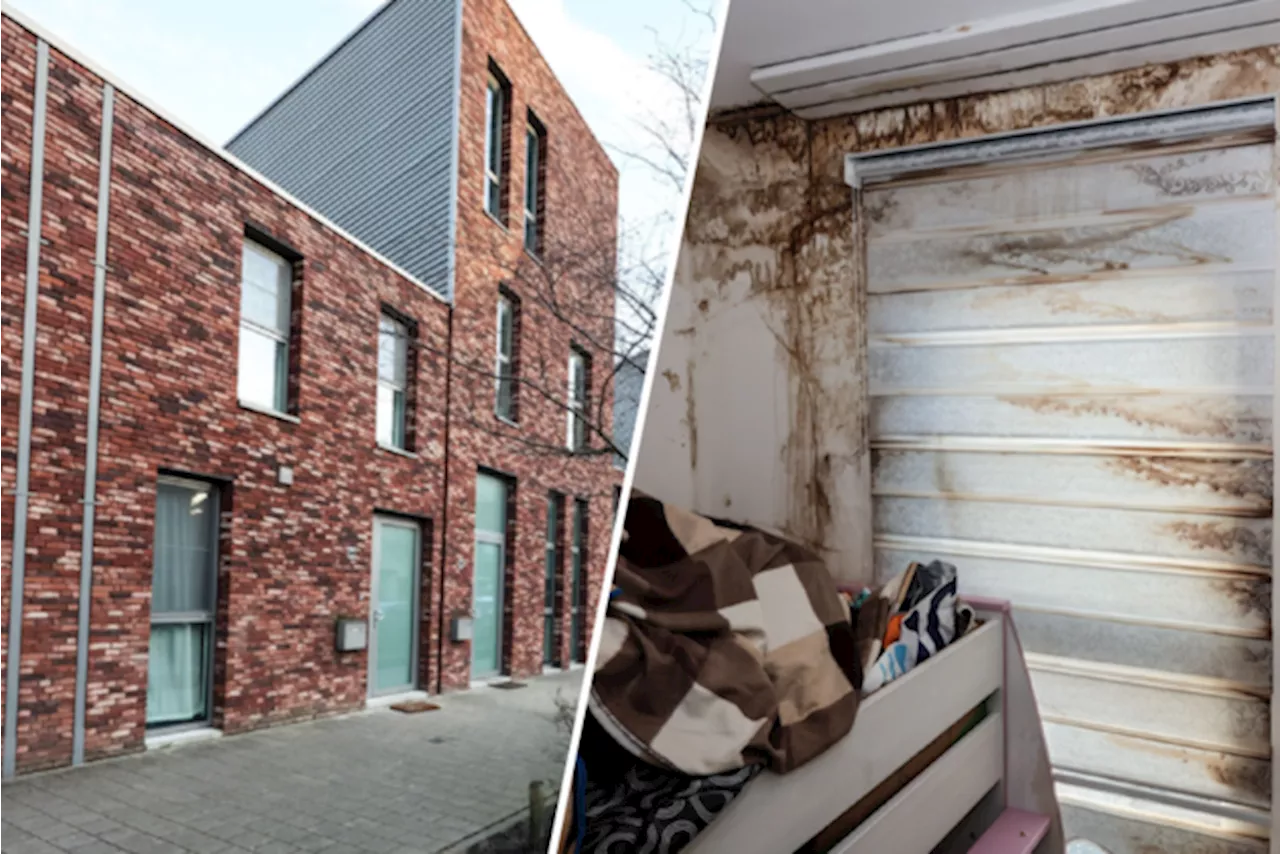 Amper acht jaar oud, maar woningen van Woonhaven op Luchtbal zijn vergeven van de schimmel: “Zo erg dat het op