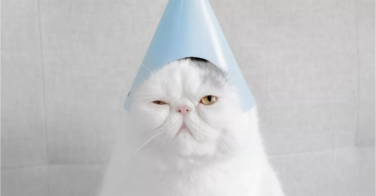 Drinken zonder kater: is feesten op synthetische alcohol de toekomst?