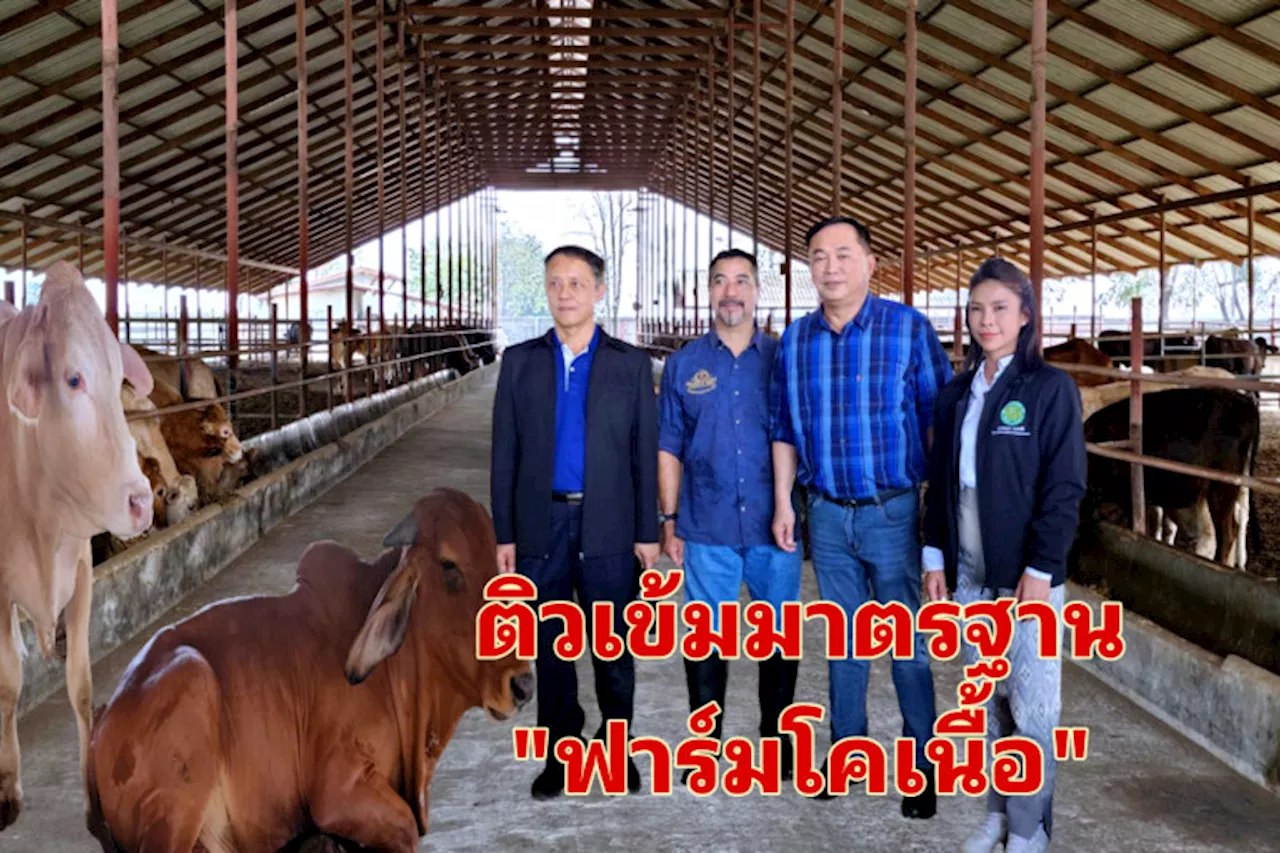 'อนุชา' ส่งเสริมเกษตรกรเลี้ยงโคเนื้อพันธุ์ดี “ชัยนาทบีฟ” ติวเข้มความรู้มาตรฐานฟาร์มโคเนื้อ