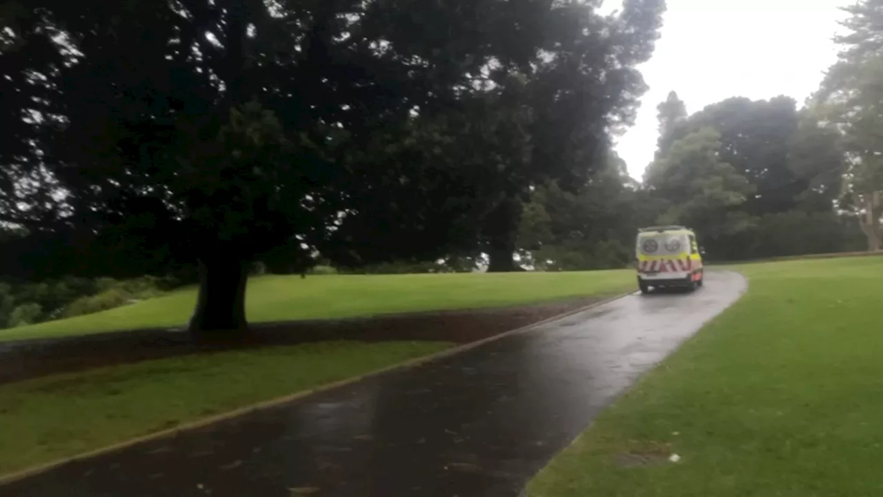 Paramedic reveals chilling moment after lightning struck four people near Sydney Opera House