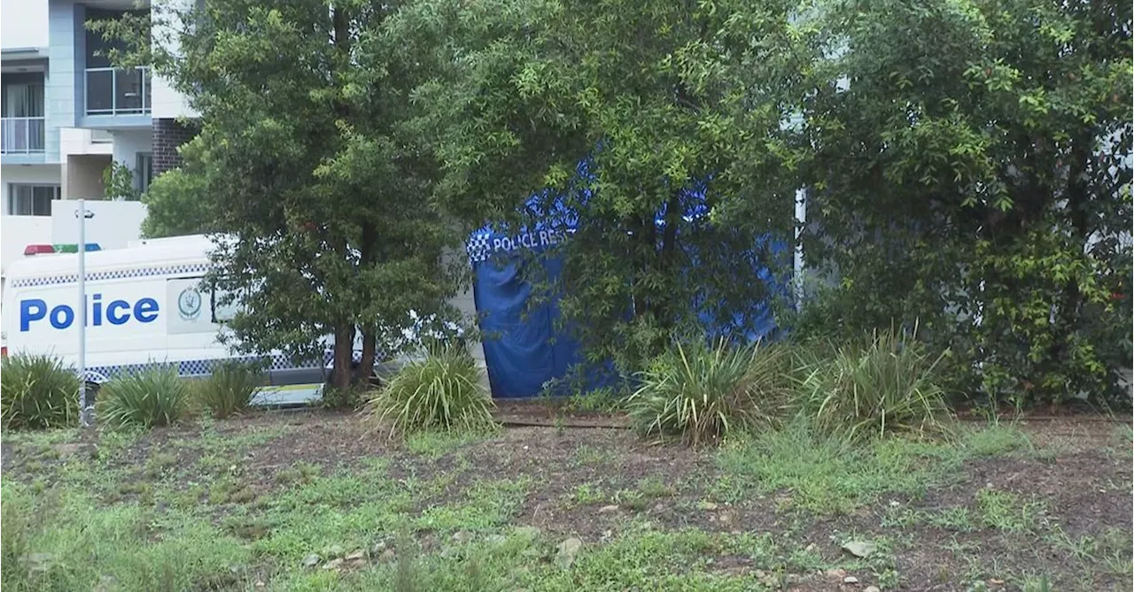 Three bodies, including a child, discovered at two Sydney locations