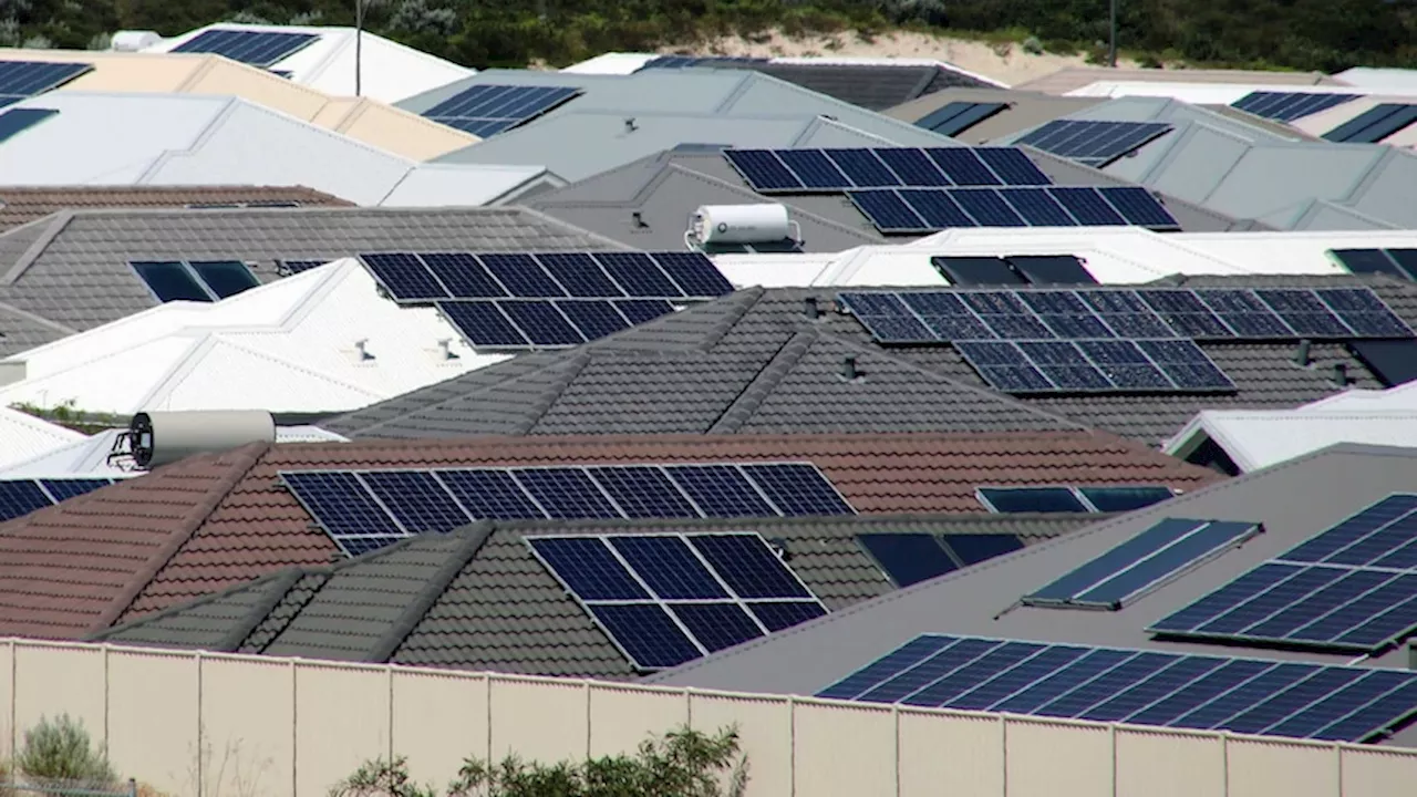 'Staggering' rise of rooftop solar to put all other power generation in the shade, report finds