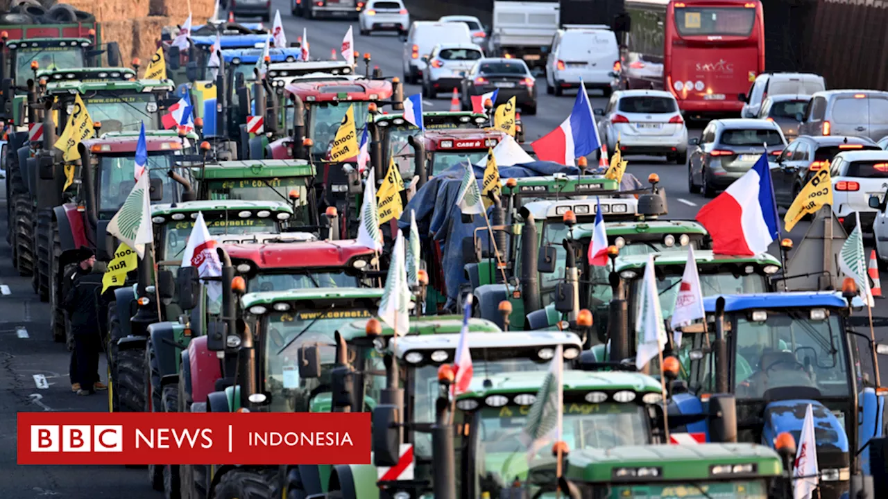 Gelombang Demonstrasi Petani Melanda Uni Eropa