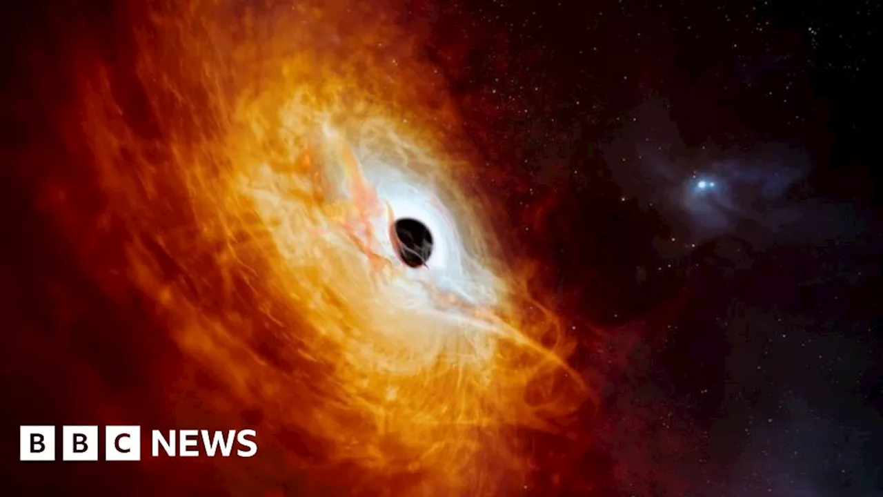 Brightest and hungriest black hole ever detected