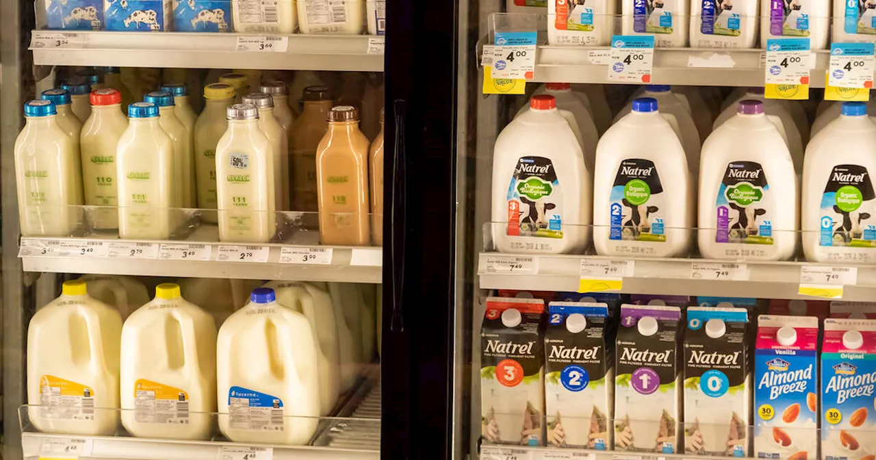 Shoppers taken aback by stark difference of the price of milk in Ontario versus the U.S.