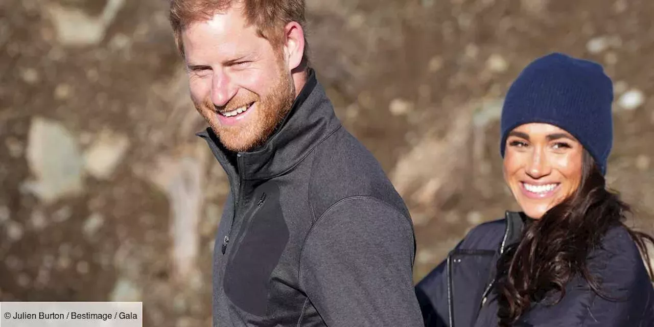 En coulisses, le prince Harry oeuvre à sa réhabilitation France