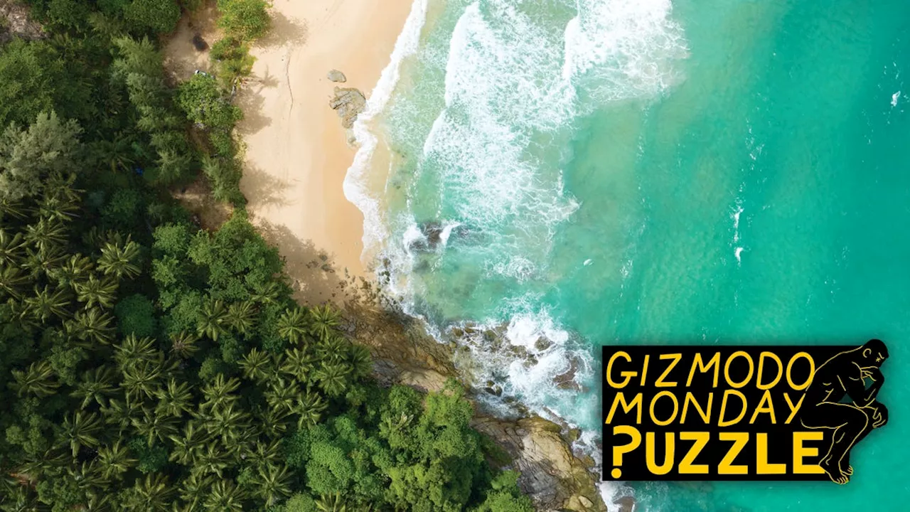 Gizmodo Monday Puzzle: Survivor Contestants Faced This Challenge and They Did Not Do Well