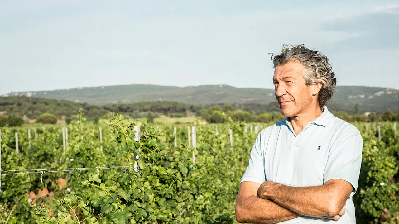 The CEO of Gérard Bertrand Group on Turning a Family Wine Business into a Global Brand