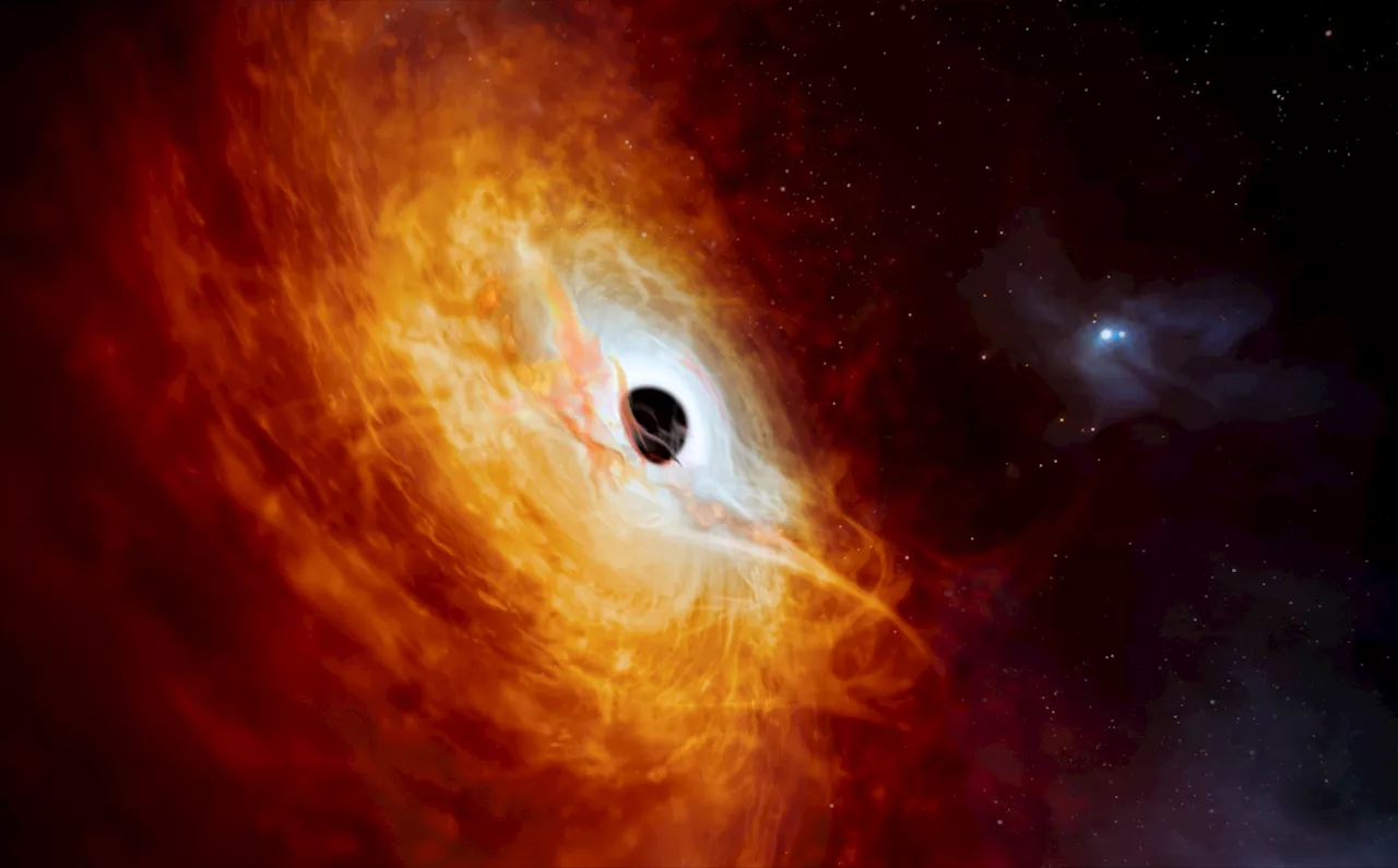 Astronomers find record-breaking black hole that swallows a sun a day