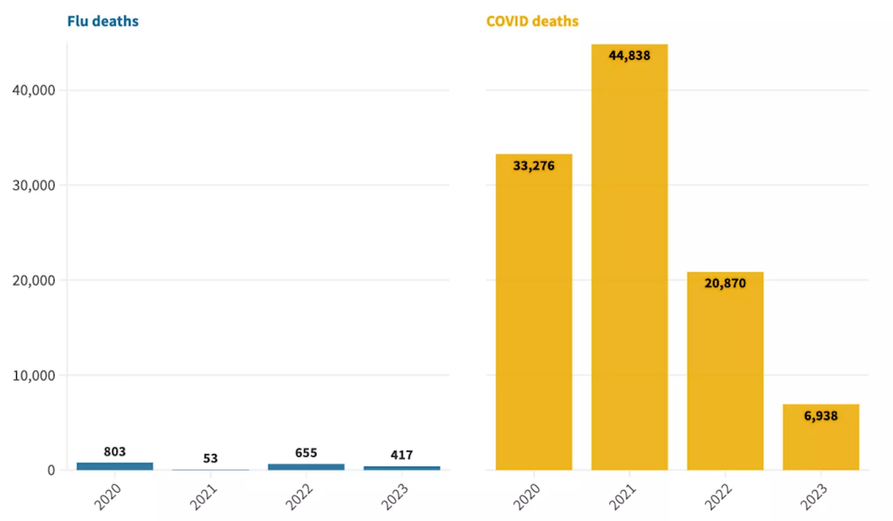 Decrease in Respiratory Illnesses Compared to Last Year