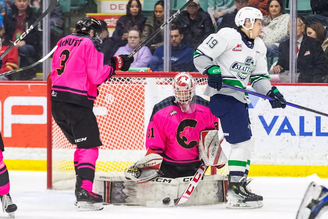 Cats spank Thunderbirds 8-1 in front of record CN Centre crowd