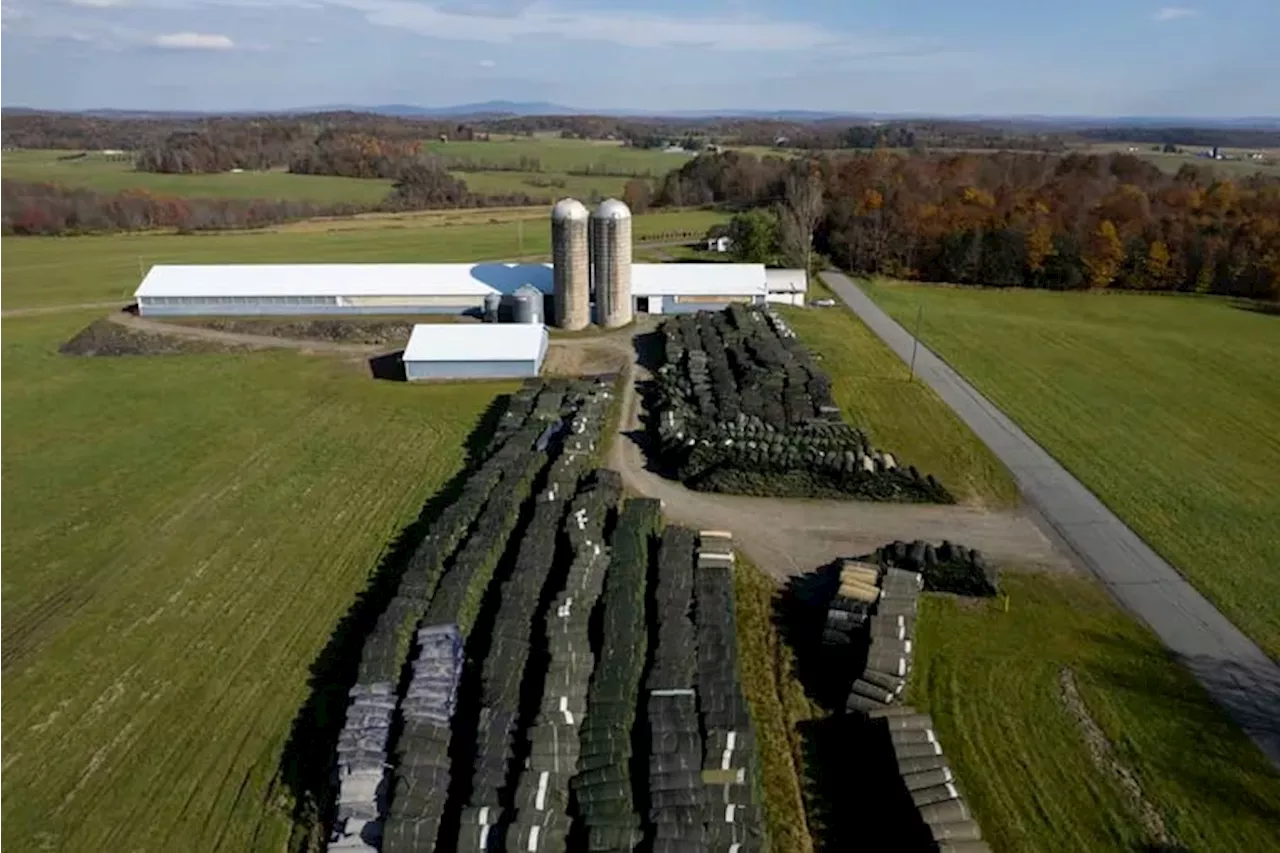 ‘Forever Fields’: How Pennsylvania became a dumping ground for discarded artificial turf