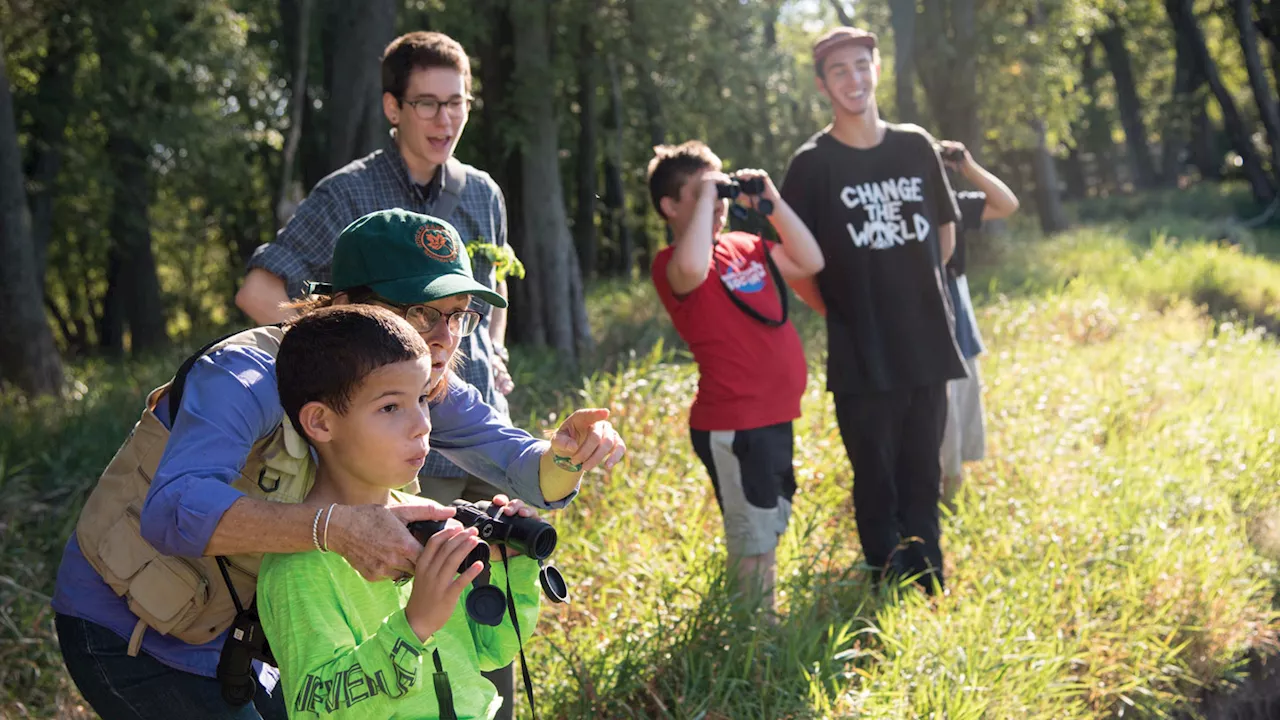 A new book explores the transformative power of bird-watching