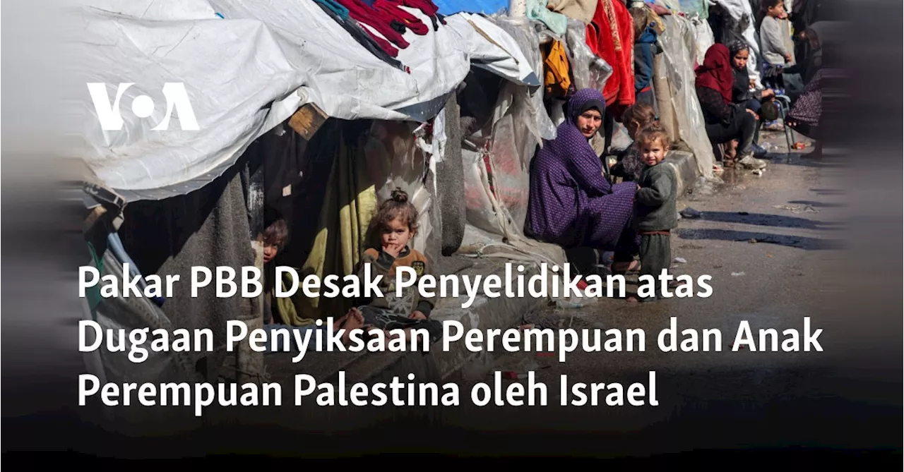 Pakar PBB Serukan Penyelidikan Terhadap Penyiksaan Perempuan Palestina oleh Israel