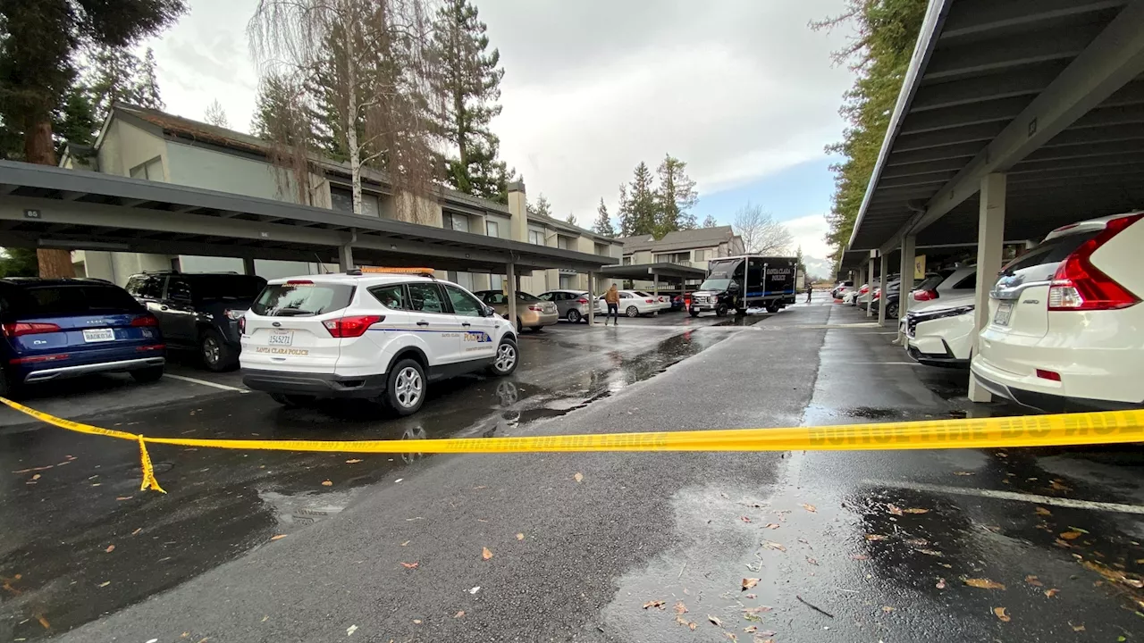 3-year-old boy fatally shot inside Santa Clara home; suspect arrested, police say