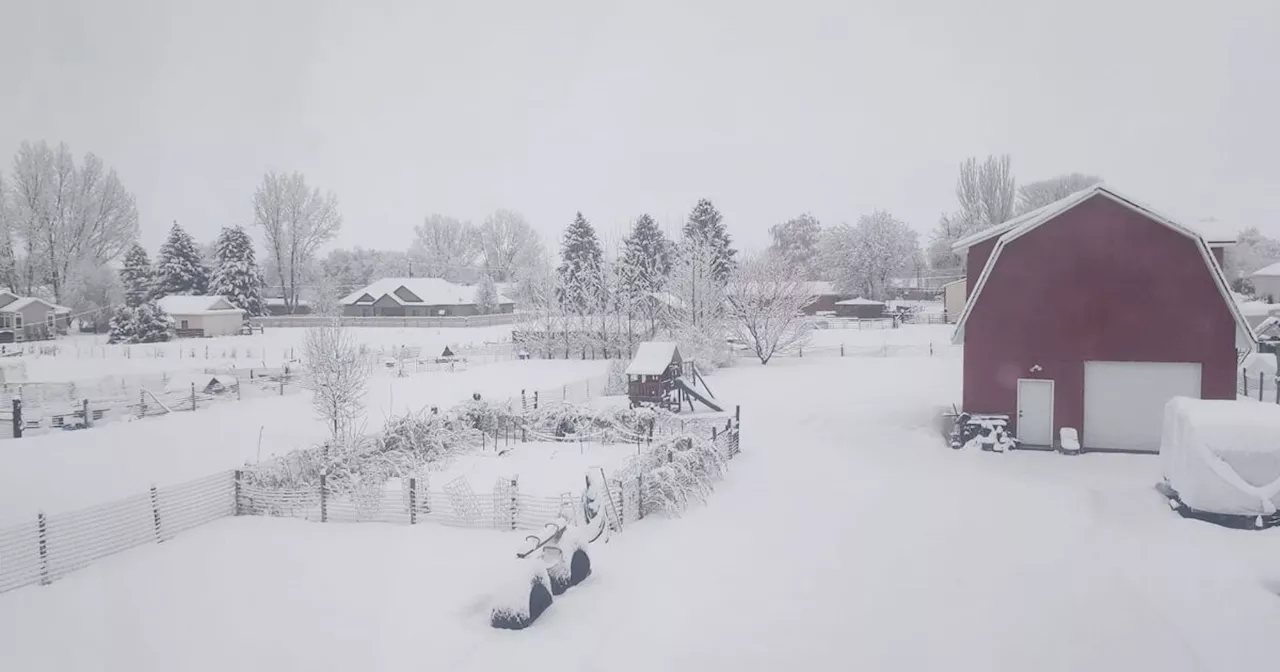 Utah school district says they made 'wrong call' during intense snow