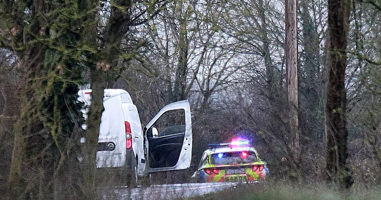 Limerick crash: Tributes paid to two students killed after car hits wall