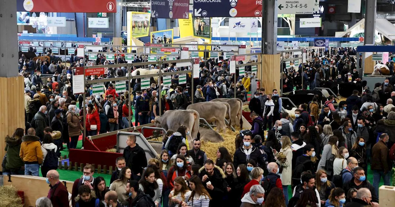 Crise agricole : le salon de l'agriculture «va mal se passer», prévient un syndicat