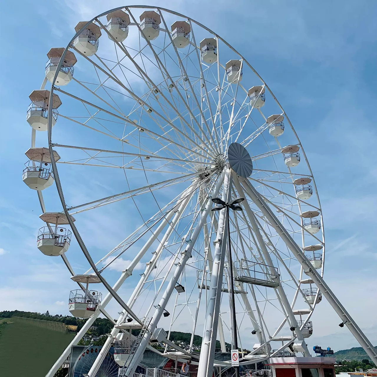 Brookfield Zoo to feature epic Ferris Wheel, new animal attractions in 2024