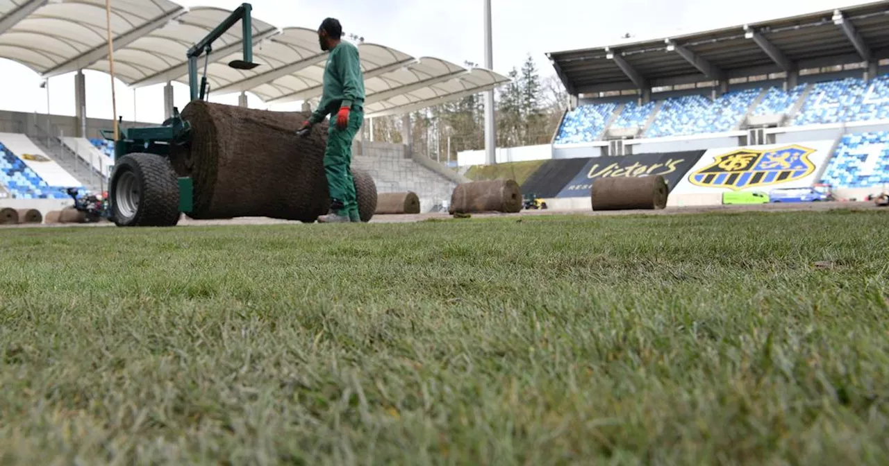 1. FC Saarbrücken: Neuer Rasen im Ludwigspark ist da