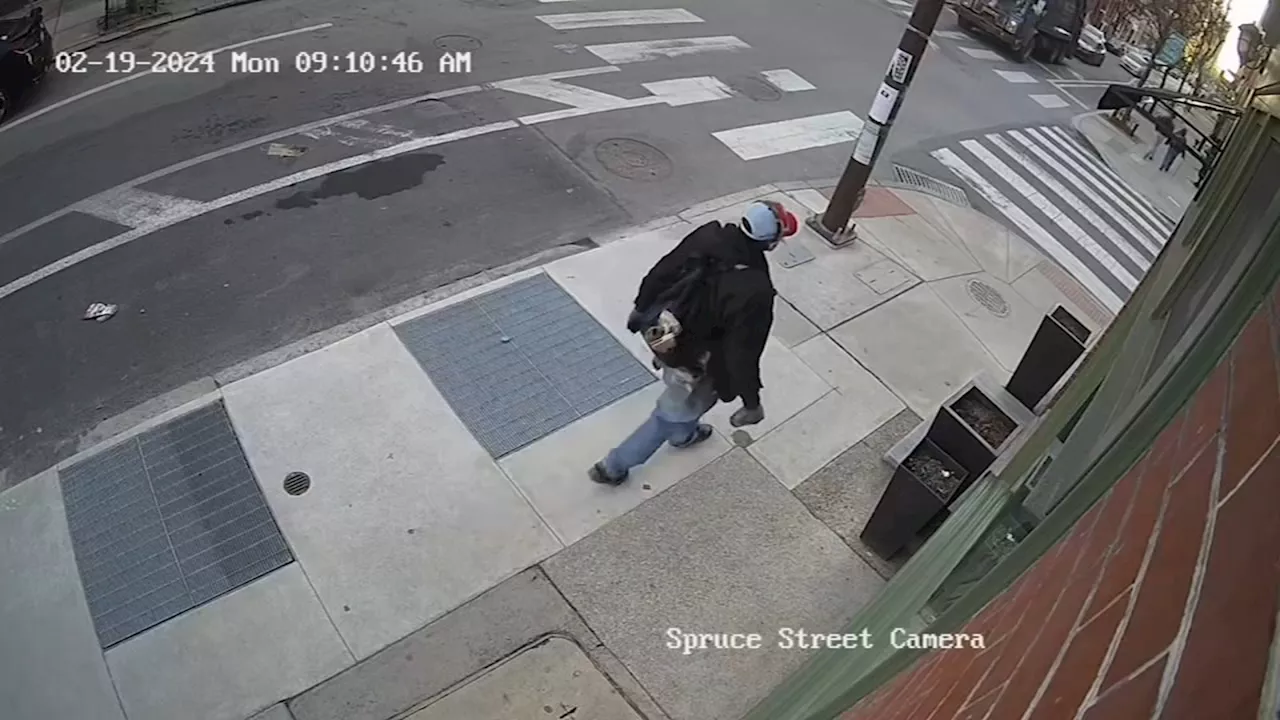 Philadelphia police search for vandal accused of damaging small businesses, historic church