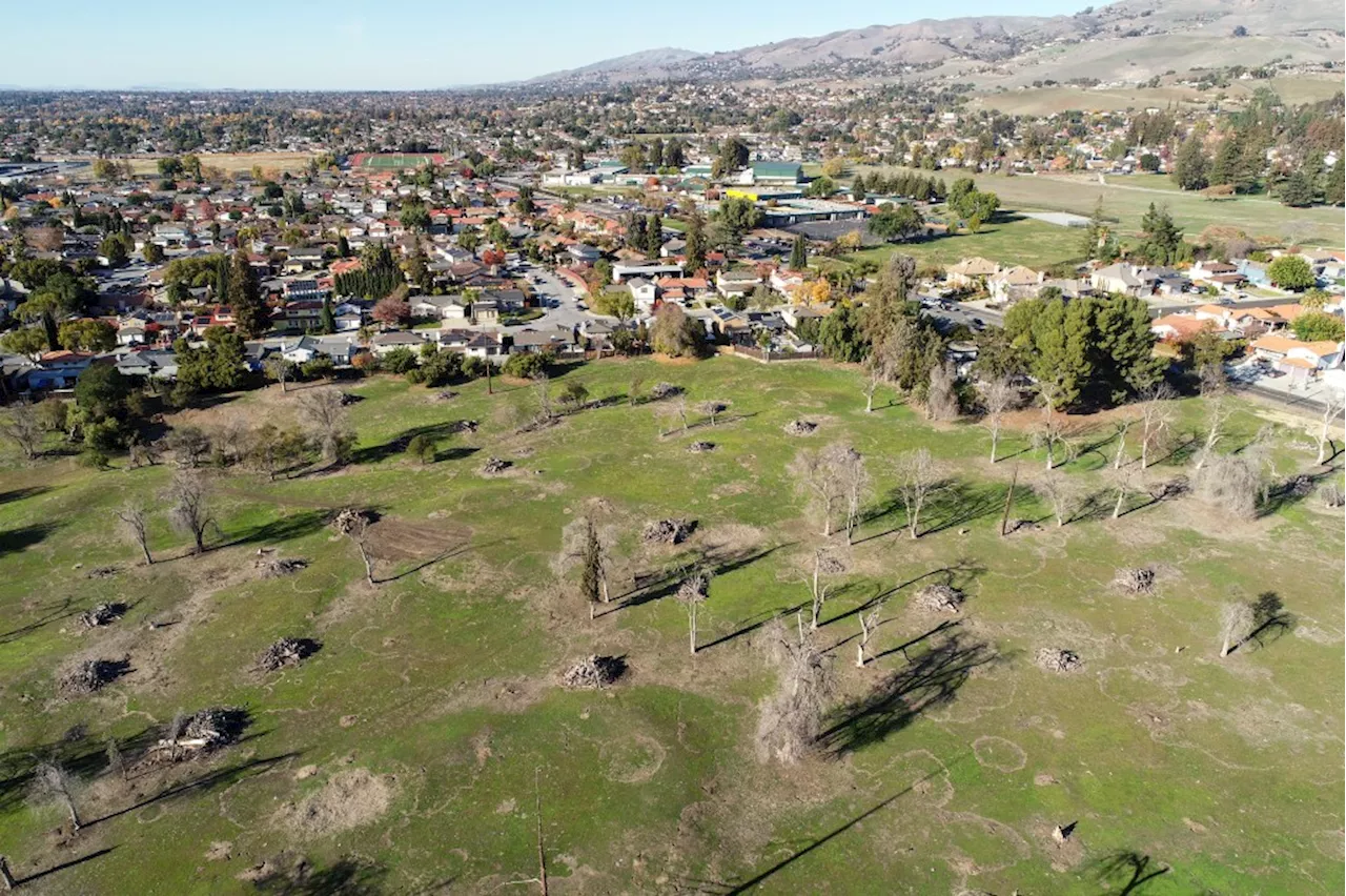 Residents ponder prospect of thousands of homes at San Jose golf site