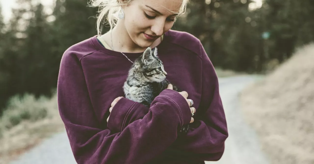 Toxoplasmosis may increase the risk for mental health conditions.