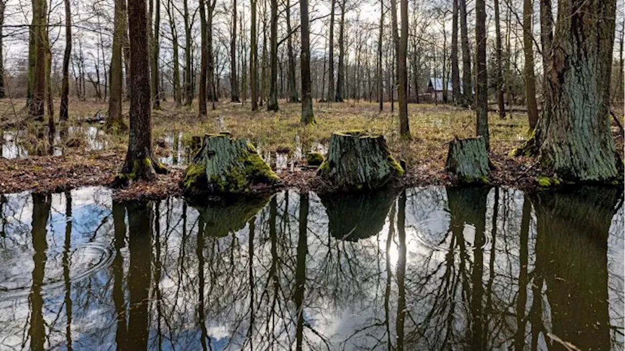 Heute feucht, morgen Dürre?