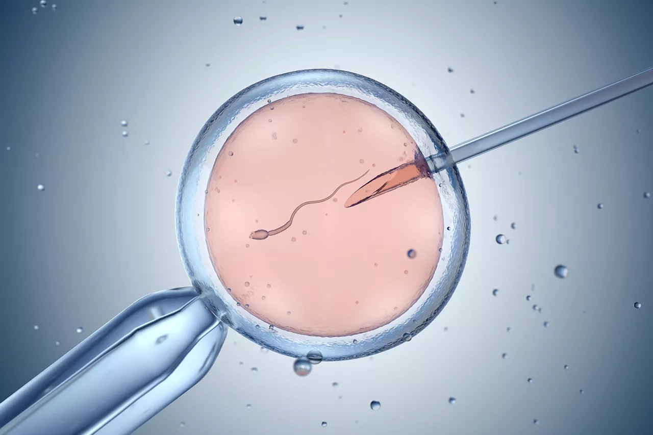 There’s an Enormous, Impossible-to-Resolve Contradiction in Alabama’s Anti-IVF Ruling