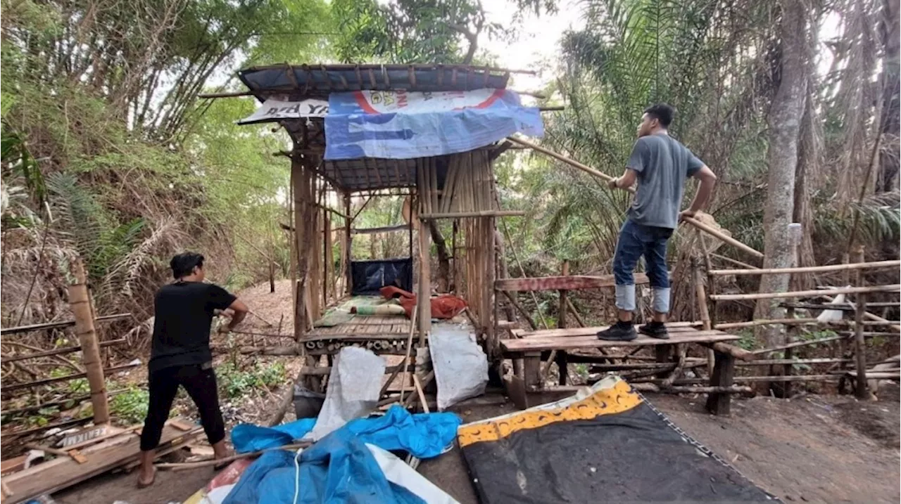 Gubuk Lansia di Polewali Mendadak Dibongkar, Diduga Buntut Kekalahan Politik Caleg Cucu Pemilik Lahan