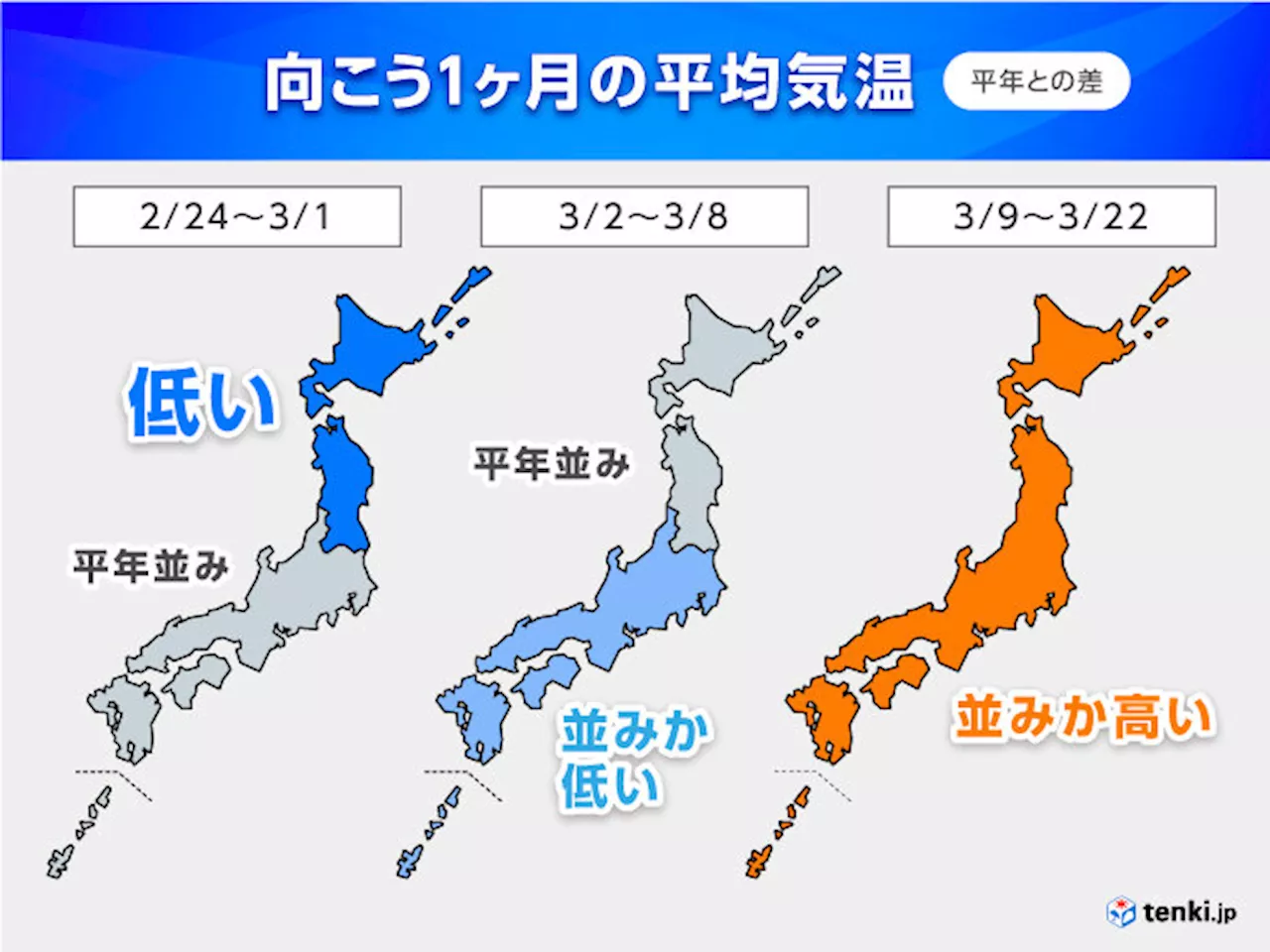 1か月 前半は寒の戻りに注意 後半は暖かく、桜の開花早まるか(気象予報士 石榑 亜紀子 2024年02月22日)