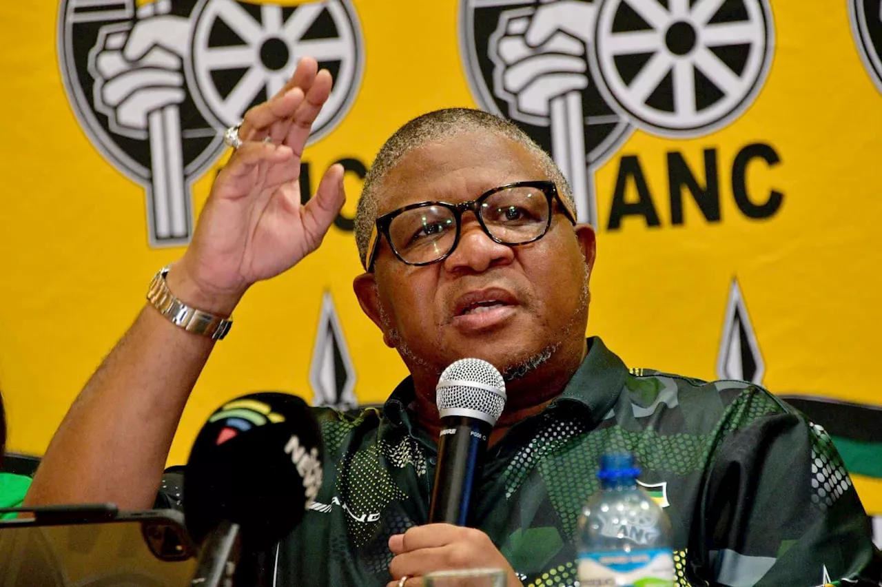 Cadre deployment: Mbalula slams ‘propaganda machine’ DA, accuses it of dishonesty