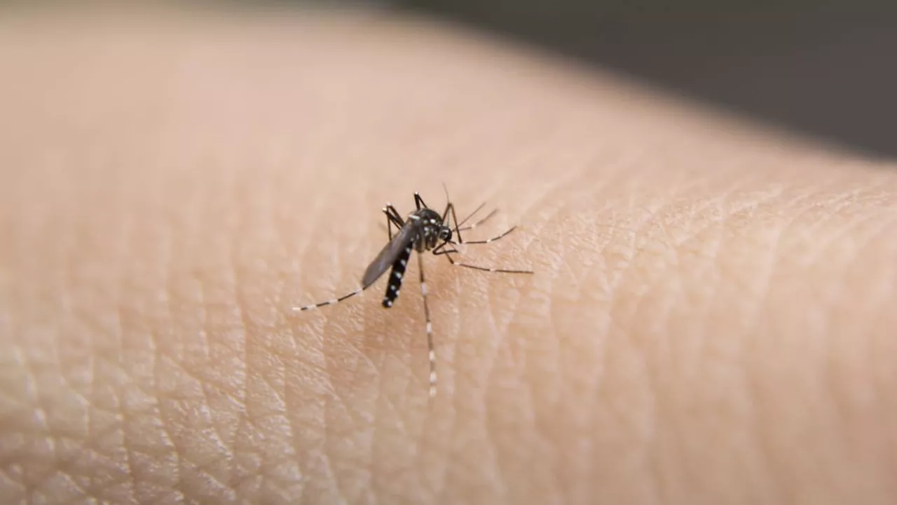 Boon Lay Place monitored for Zika transmission after 1 case in December, 'persistent viral signals' in area