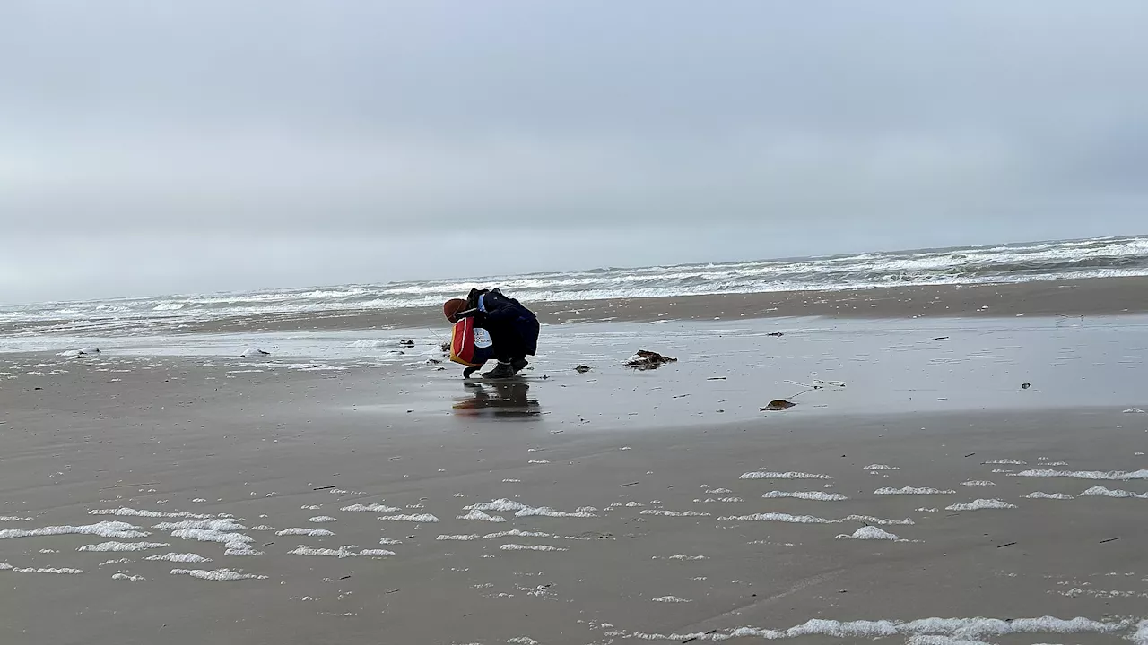 Har du spottet dem? Plastikugler er overalt på nordjyske strande